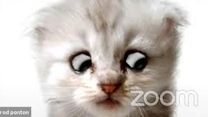 OU_FBL's tweet photo. Who saw the iconic #imnotacat #catlawyer video🐱?

@OU_Law's Dr Robert Herian from @OU_LIFT shares his views on this funny and affective Zoom moment in his new article “I’m not a cat”, or, the joy of metamorphosis?

Read here👉 https://t.co/bX99LJG5by https://t.co/QrVROYeEfV