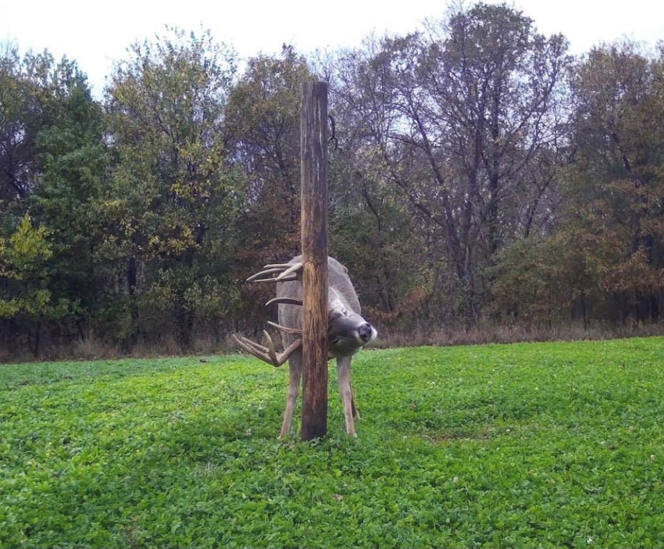 Sportsman Channel tweet media