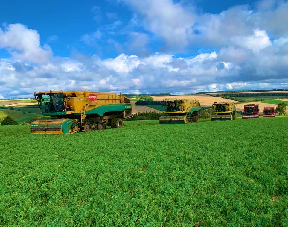 Next is <a href="/HopwoodJames/">James Hopwood</a> of Nomad Foods ‘<a href="/BirdsEyeUK/">BirdsEyeUK</a> have been pleased to be a the forefront of the Humber Landscapes Pilot, working with our growers, to integrate cover crops pre &amp; post our unique pea crops to produce great results in terms of #nutrient &amp; #carboncapture’