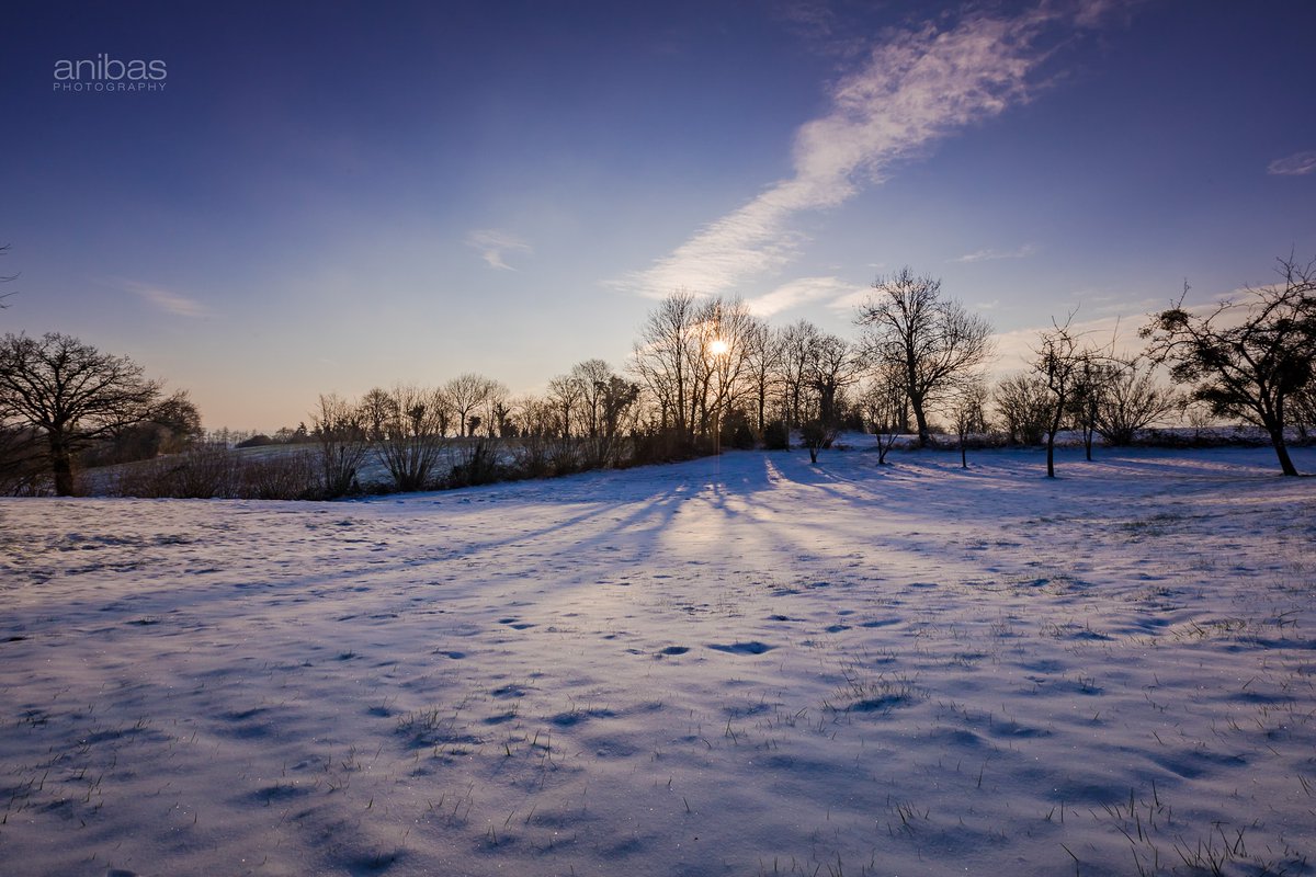 Sabina - Anibas Photography 📷 tweet media