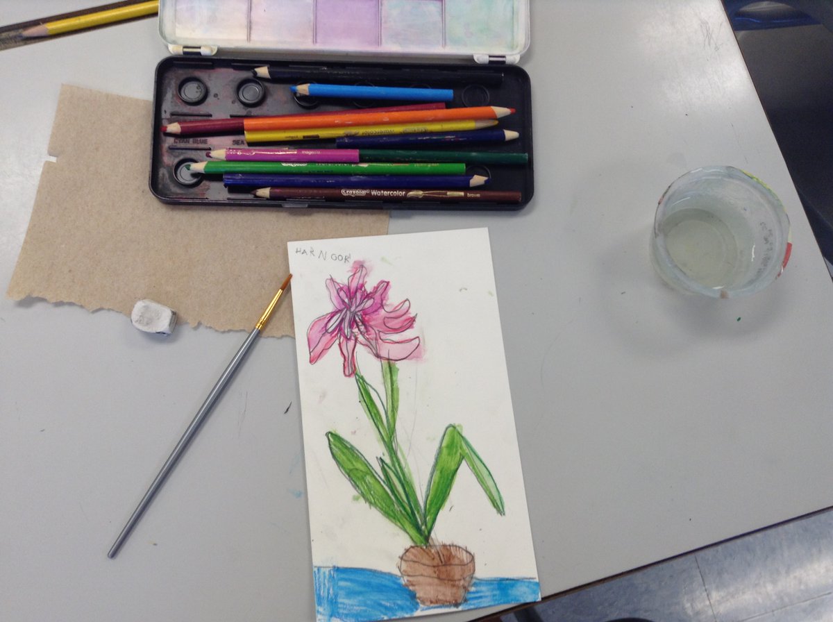 Ms_C_Dickson's tweet photo. Kindergarten Fine Arts: Students used pencil and watercolour pencils to draw and colour an amaryllis. Kindergarten students are monitoring the growth and details of a live amaryllis in their class! https://t.co/GLninZkgkk