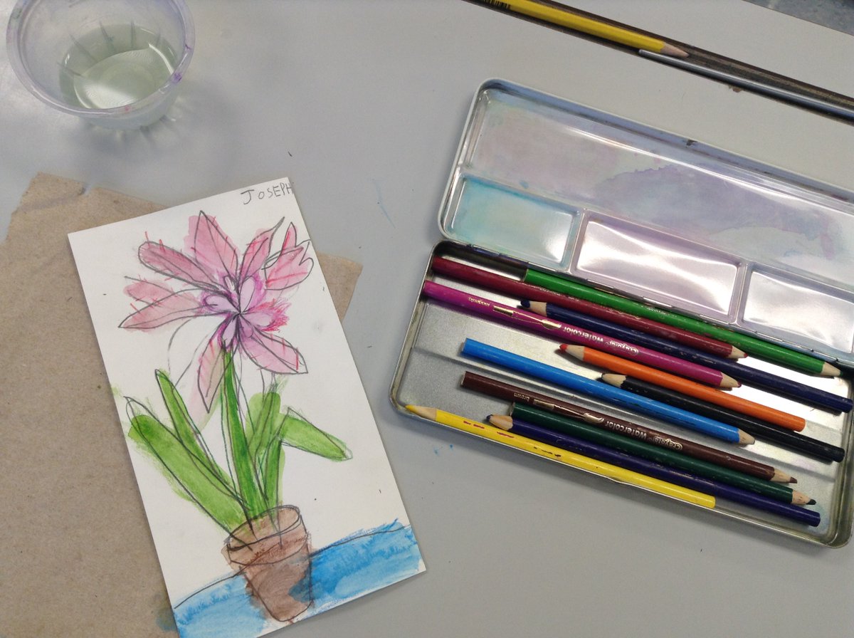 Ms_C_Dickson's tweet photo. Kindergarten Fine Arts: Students used pencil and watercolour pencils to draw and colour an amaryllis. Kindergarten students are monitoring the growth and details of a live amaryllis in their class! https://t.co/GLninZkgkk