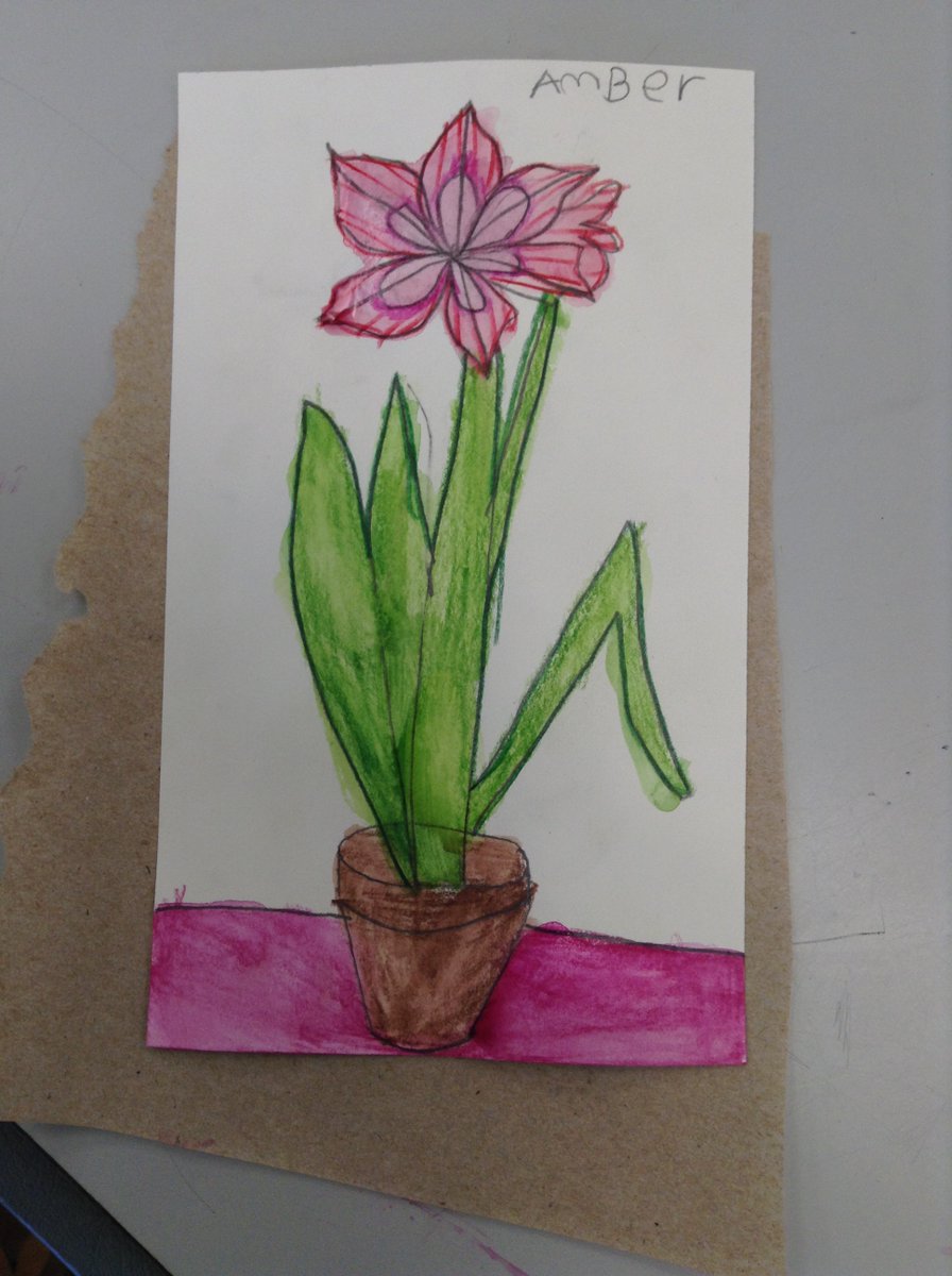 Ms_C_Dickson's tweet photo. Kindergarten Fine Arts: Students used pencil and watercolour pencils to draw and colour an amaryllis. Kindergarten students are monitoring the growth and details of a live amaryllis in their class! https://t.co/GLninZkgkk