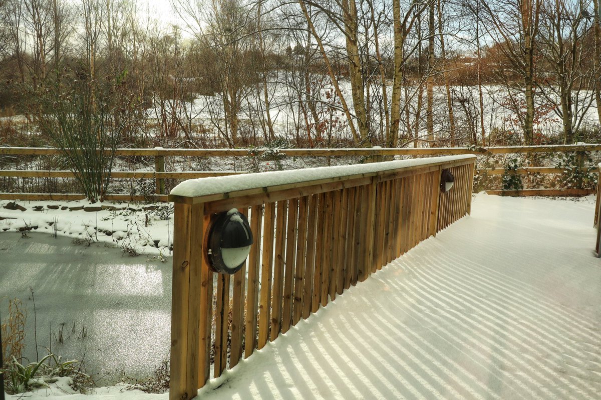 snug within tweet media