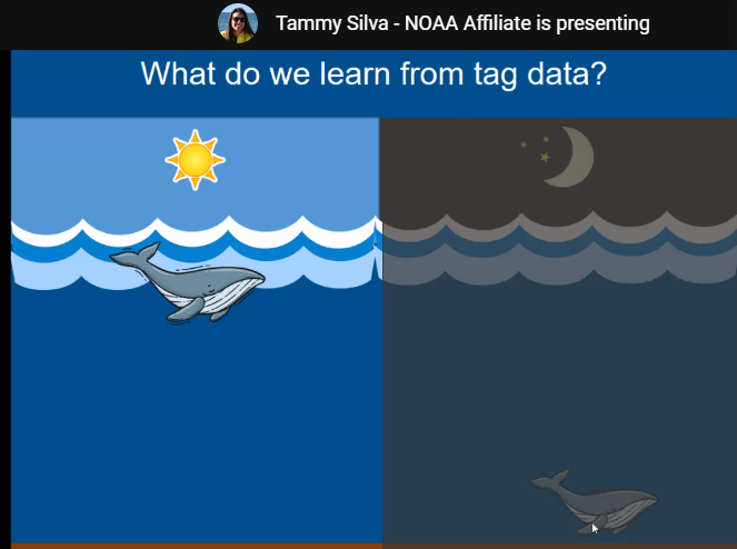 CHSecondary's tweet photo. Scientist Dr. Tammy Silva from NOAA, coordinated by the Ocean Guardian Program, came to speak with our sixth grade science students this morning. What a great experience!  Thank you, Dr. Silva &amp; Ocean Guardian Program!
#HatterasStrong https://t.co/In7vOR2jPG