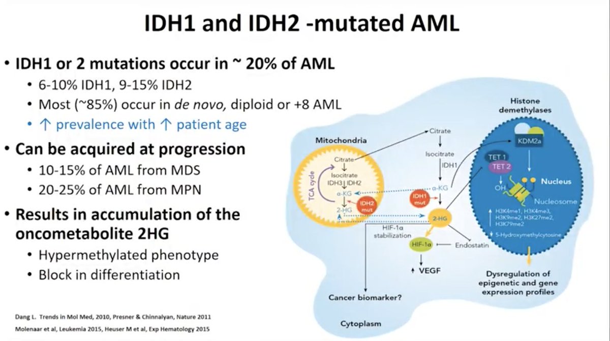  #TCTM21 Other mutationsPhase I of 7+3+ IDHi showed good responses (Phase III is recruiting)  tAML CPX prolonged follow up data