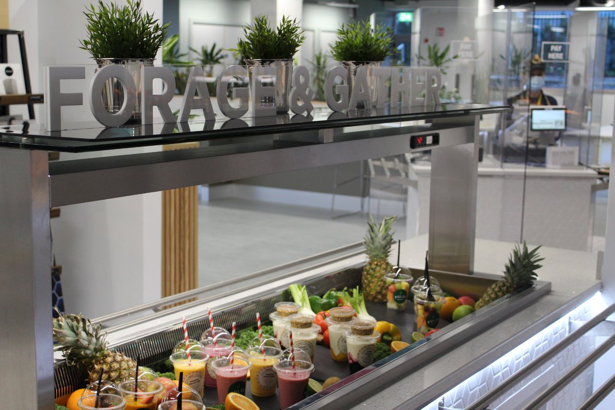 GeckoCatering's tweet photo. Our most recent project to date: MSD, Swords.

🦎 Read our full blog post here: 

https://t.co/PINkoKch6w

#commercialcatering #servery #gecko #MSD  #cateringequipment https://t.co/Xxclk7WzNT
