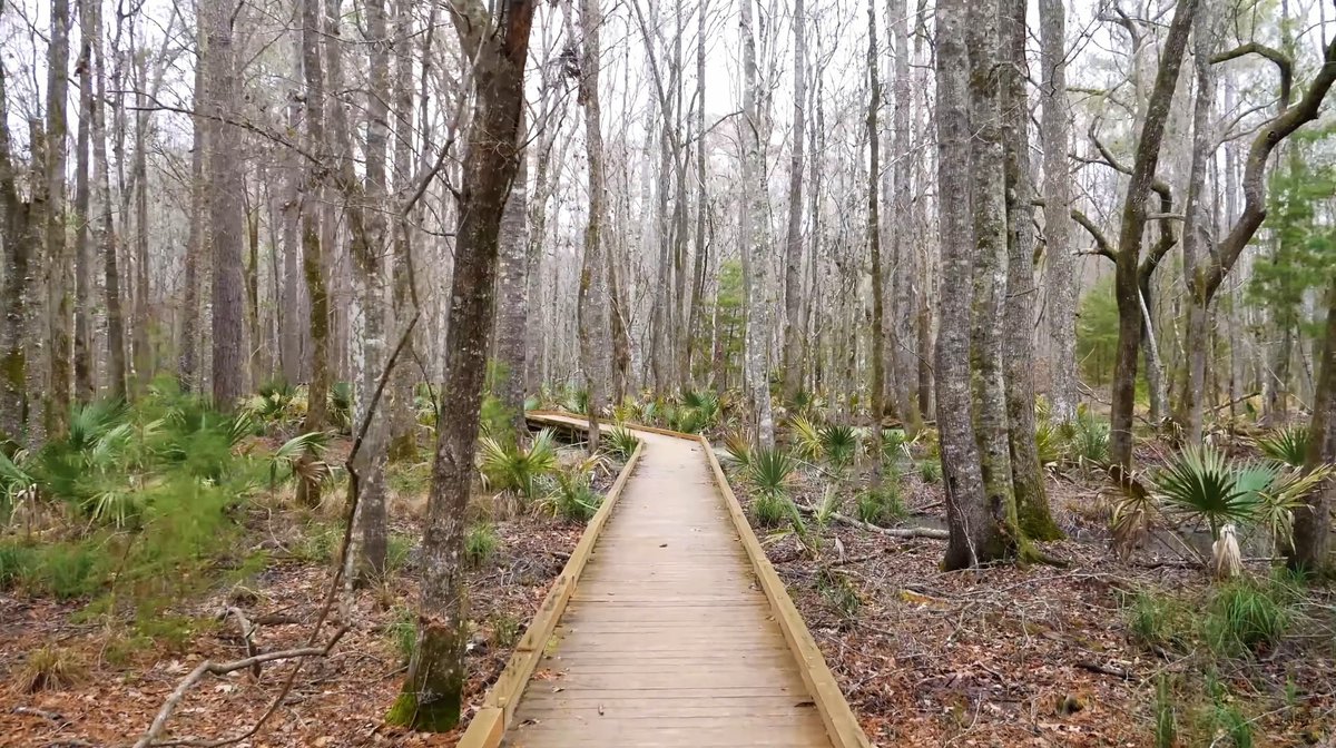StonoDentalCare's tweet photo. Caw Caw Interpretive Center at 5 miles drive to the west of #JohnsIsland dentist Stono Dental Care https://t.co/r1hqcq8AVV