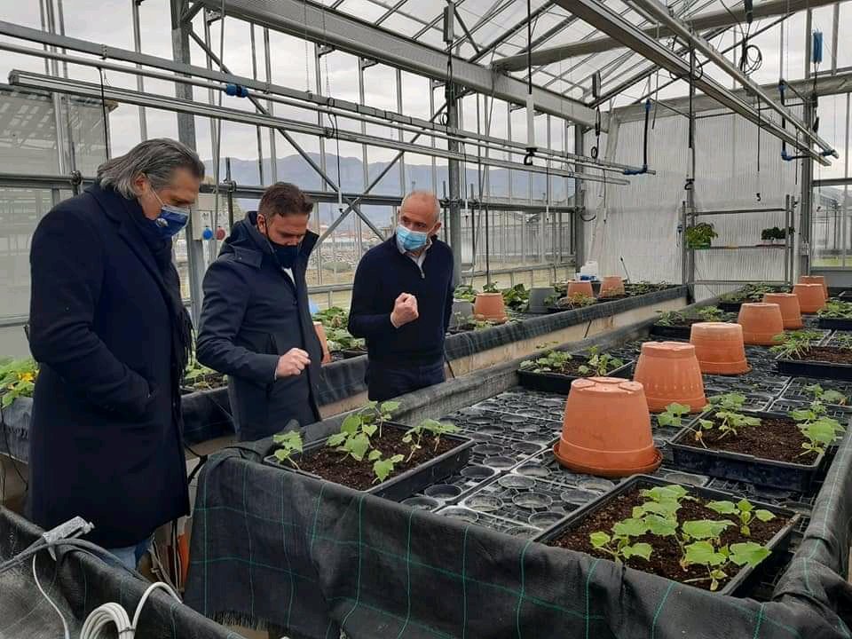 CCIAARIVLIG's tweet photo. Agricoltura 4.0, innovazione e ricerca al #Cersaa di Albenga: “Tecnologia efficace e consapevole”
Oggi il vice presidente e assessore all’Agricoltura Alessandro Piana ha incontrato i vertici del @cersaa_news nostra azienda Speciale #cciaarivlig https://t.co/mTLCHvTP5g https://t.co/XnHIIyLCen