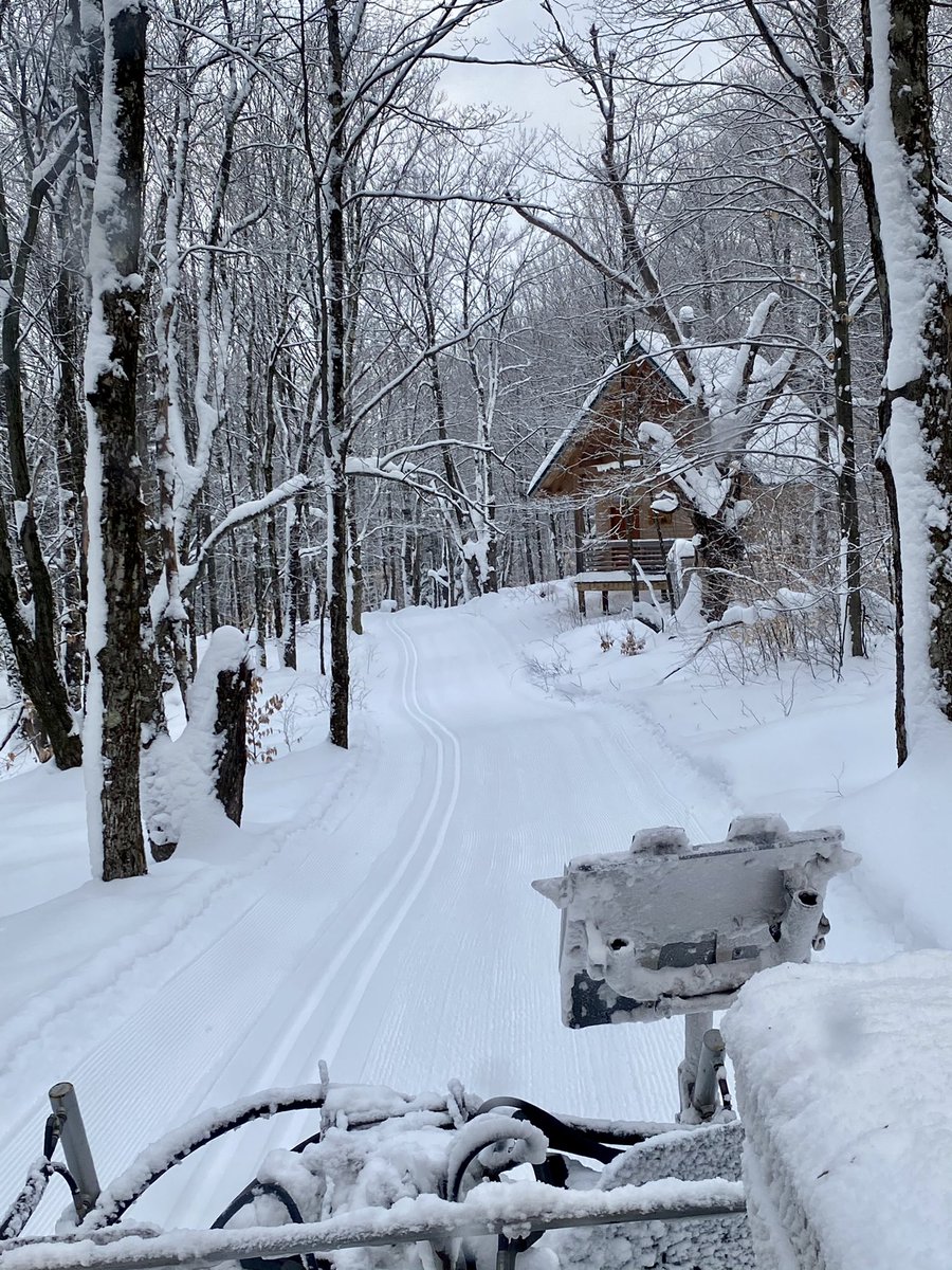 If you don’t get out there today you lose your privileges until further notice.