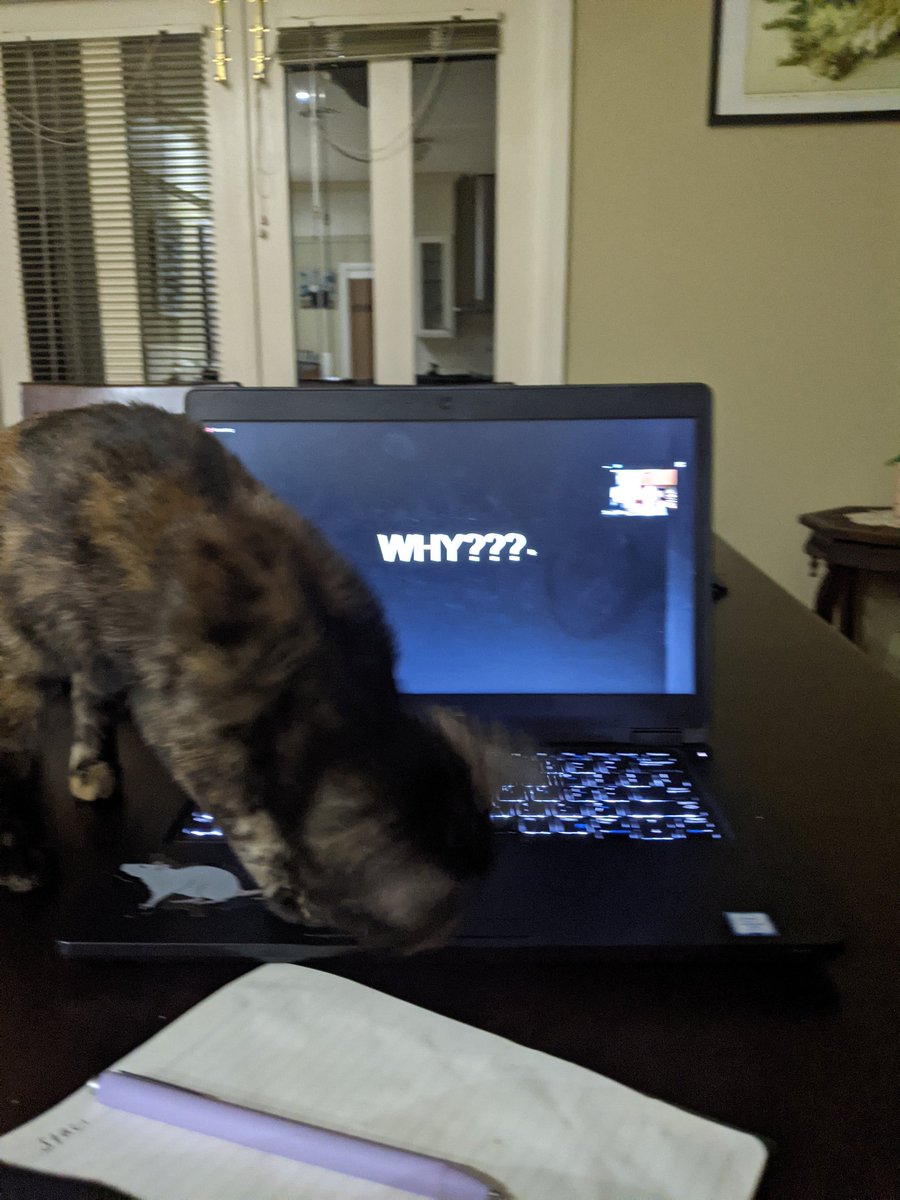 Annalisa Cuskelly, PhD tweet media