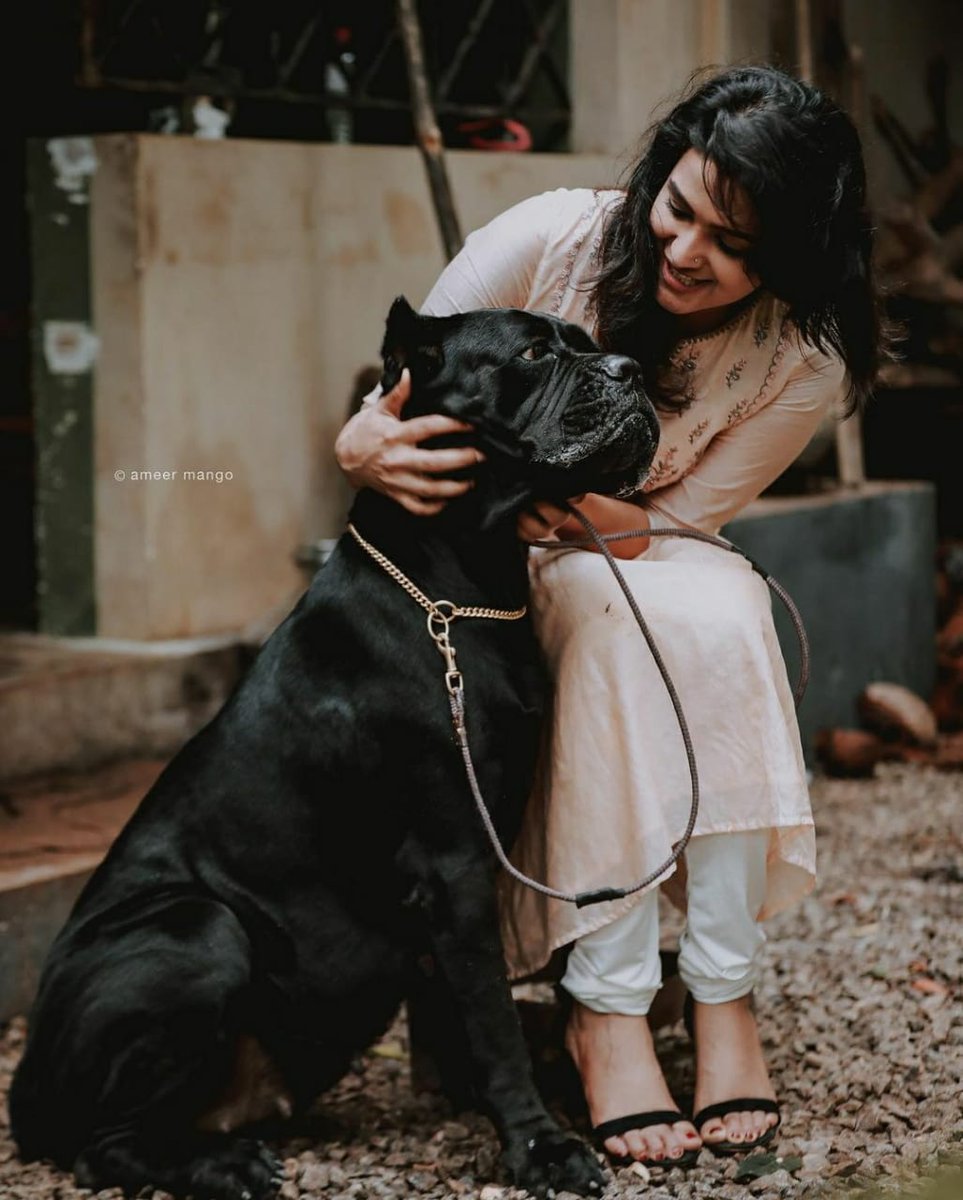 NEVIN__13's tweet photo. The line between life or death is determined by what we are willing to do!!!

He is here!!!!
To show what he does!!

#Kala
#KalaHitTheatersSoon
#TovinoThomas
#DivyaPillai
#Lal_Dr
#RohitVS

 @ttovino || @tfwai__official
#കള  🥦🔥💥😘
#MinnalMurali 🎊😍🎉 https://t.co/QaEi8A3laA