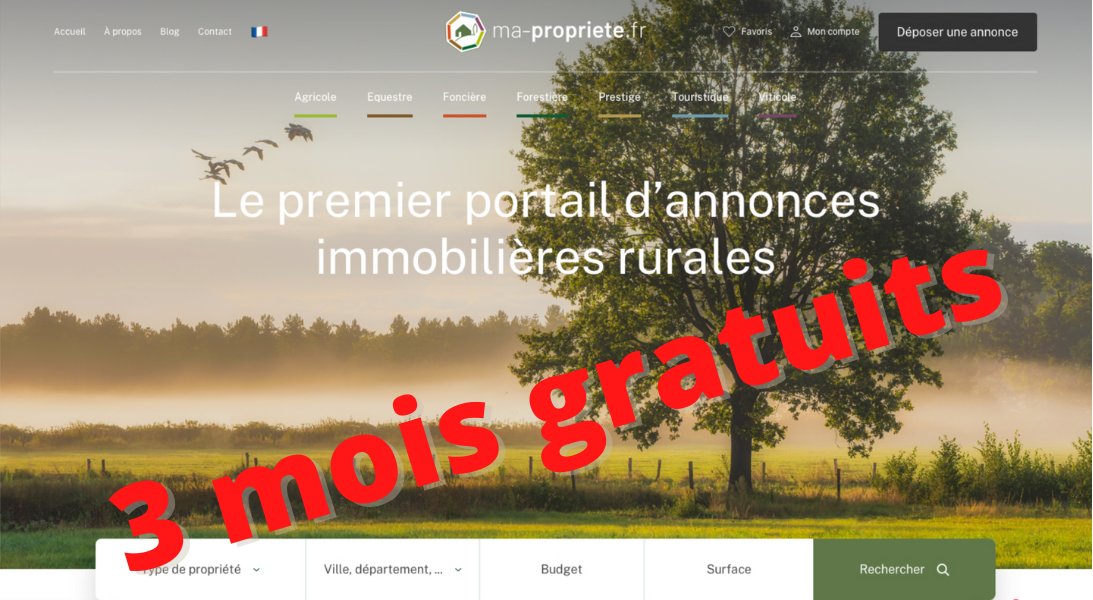 BCharlotin56's tweet photo. MA-PROPRIETE vous offre 3 mois de diffusion gratuite 💰de vos mandats.
Vous avez une activité de #transaction en zone #rurale. Rejoignez les professionnels qui ont déjà choisi de nous faire confiance.
☎ Contactez-nous
https://t.co/CP8vDLM1M8 https://t.co/dIctNezm2G