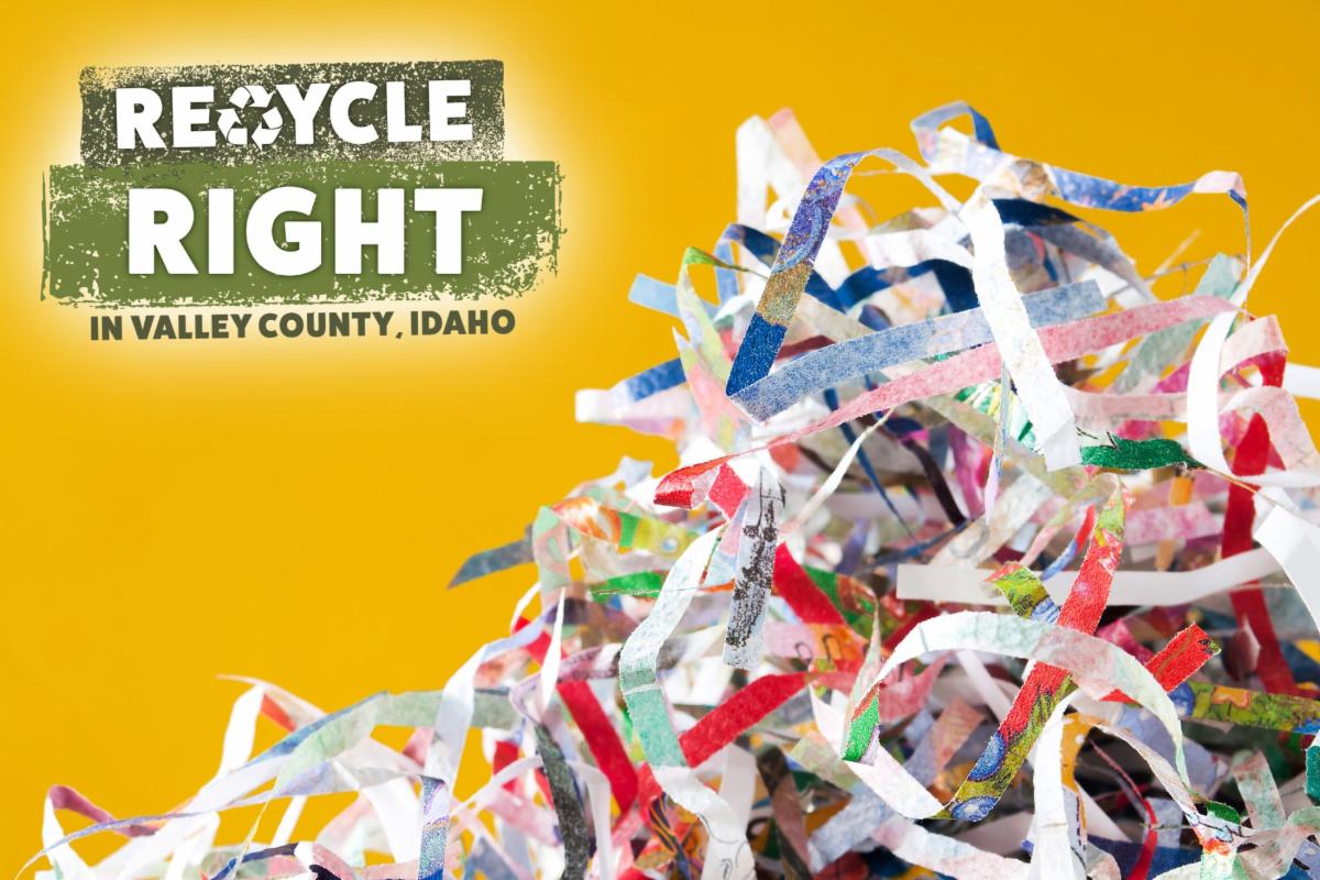 Our February Newsletter is out! conta.cc/36ZGFZ1