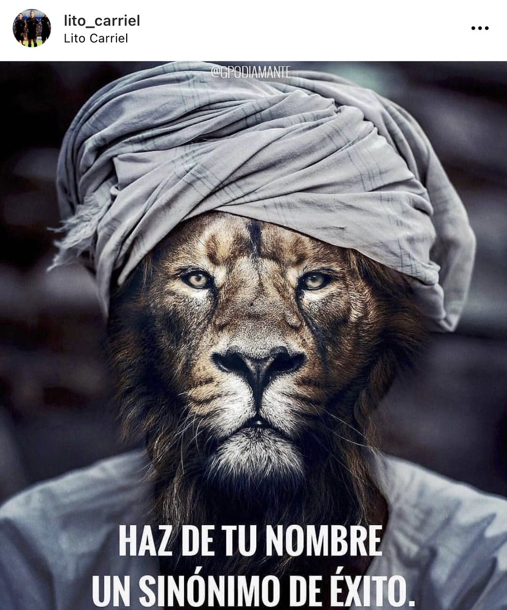 LitoCarriel's tweet photo. #LITOFIT https://t.co/TJDL50PpkK