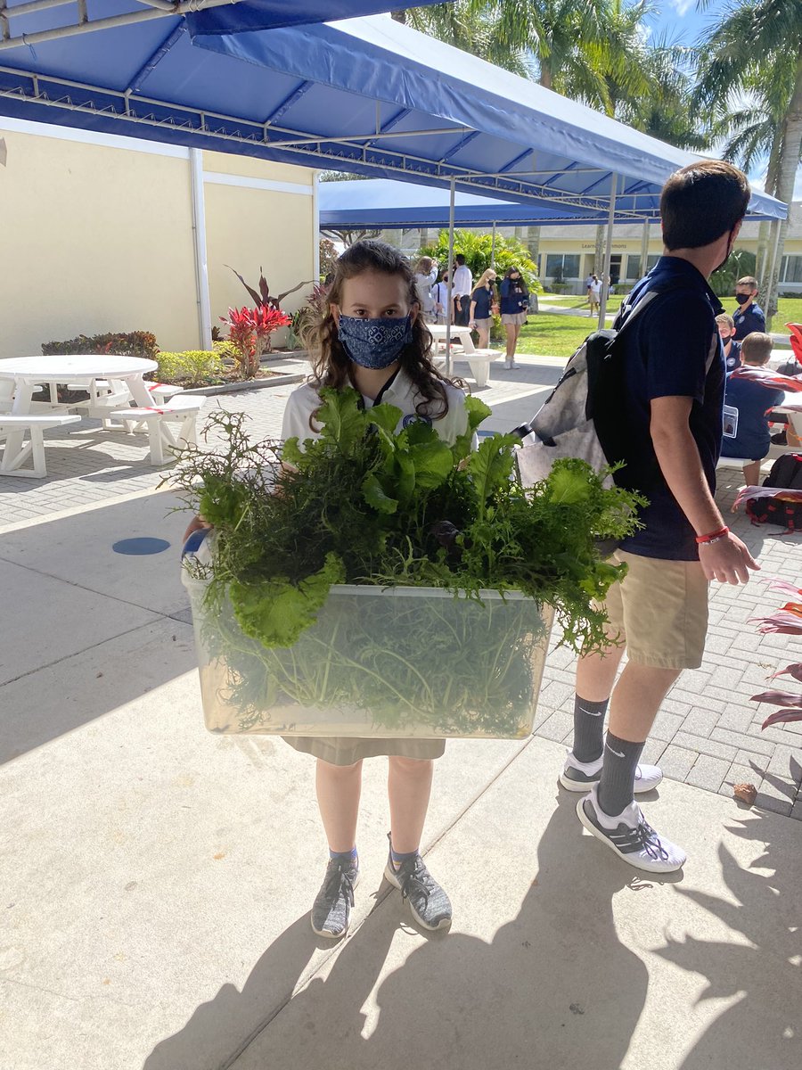 Garden Harvest being delivered to the cafeteria! <a href="/vhopekennedy/">Hope Kennedy 🌎</a> <a href="/FlikISDining/">FLIK Independent School Dining</a> <a href="/NBMIDDLE/">NBPS MIDDLE SCHOOL</a>