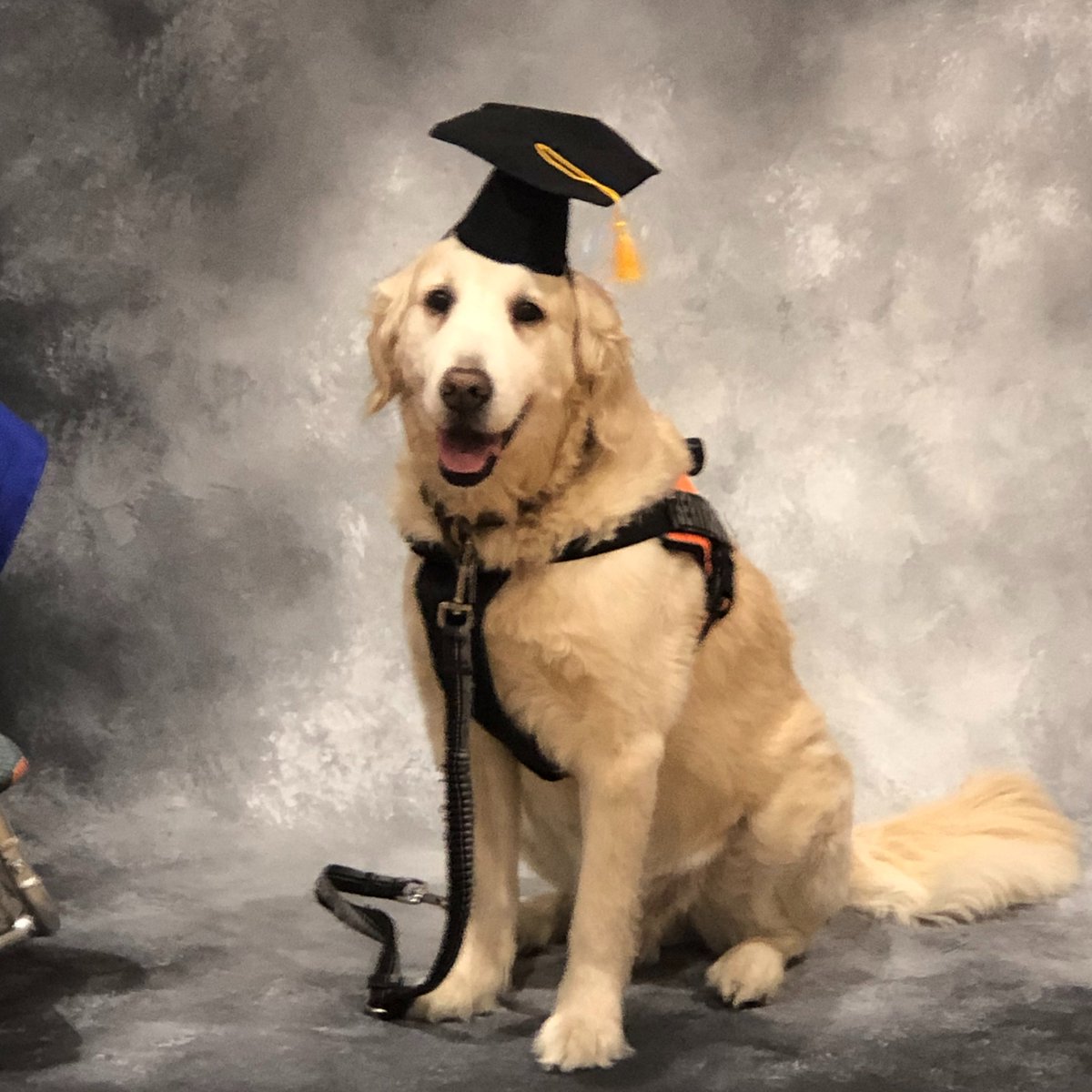 theBWschool's tweet photo. Graduating 2021!!
#thebriarwoodschoolhouston #briarwoodschoolhoustonmustangs #briarwoodschoolhoustongraduation2021 https://t.co/heJuVGrJ0L