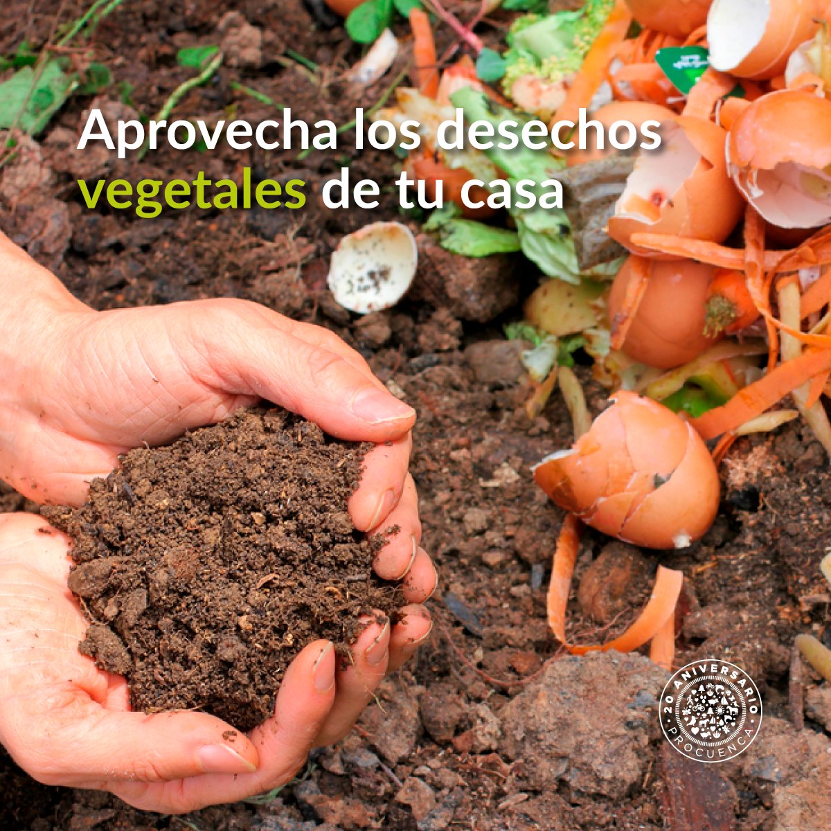 ¡Sólo si vives en Valle! La caja de lombrices es la herramienta para procesar la basura orgánica vegetal en casa, funciona mediante la colocación de un contenedor enterrado en un área verde. Averigua más aquí: procuenca.org/torre-de-lombr…