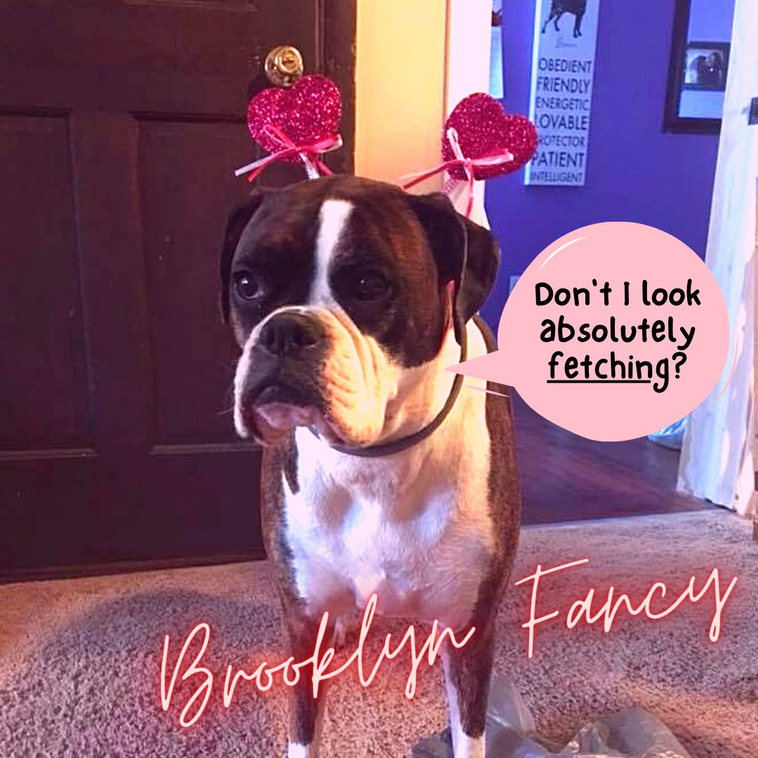 Troy, NY City Clerk (CityClerkTroyNY) Twitter