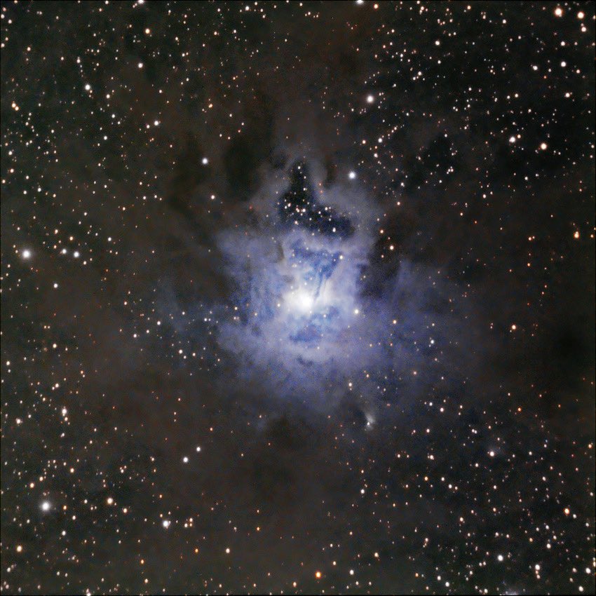 Iris nebula