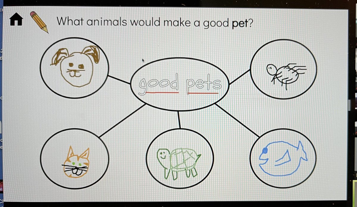 Mrs. Newett’s Kinders are using a thinking map to talk about that makes a good pet. I am not so sure about having a spider as a pet.. eek.