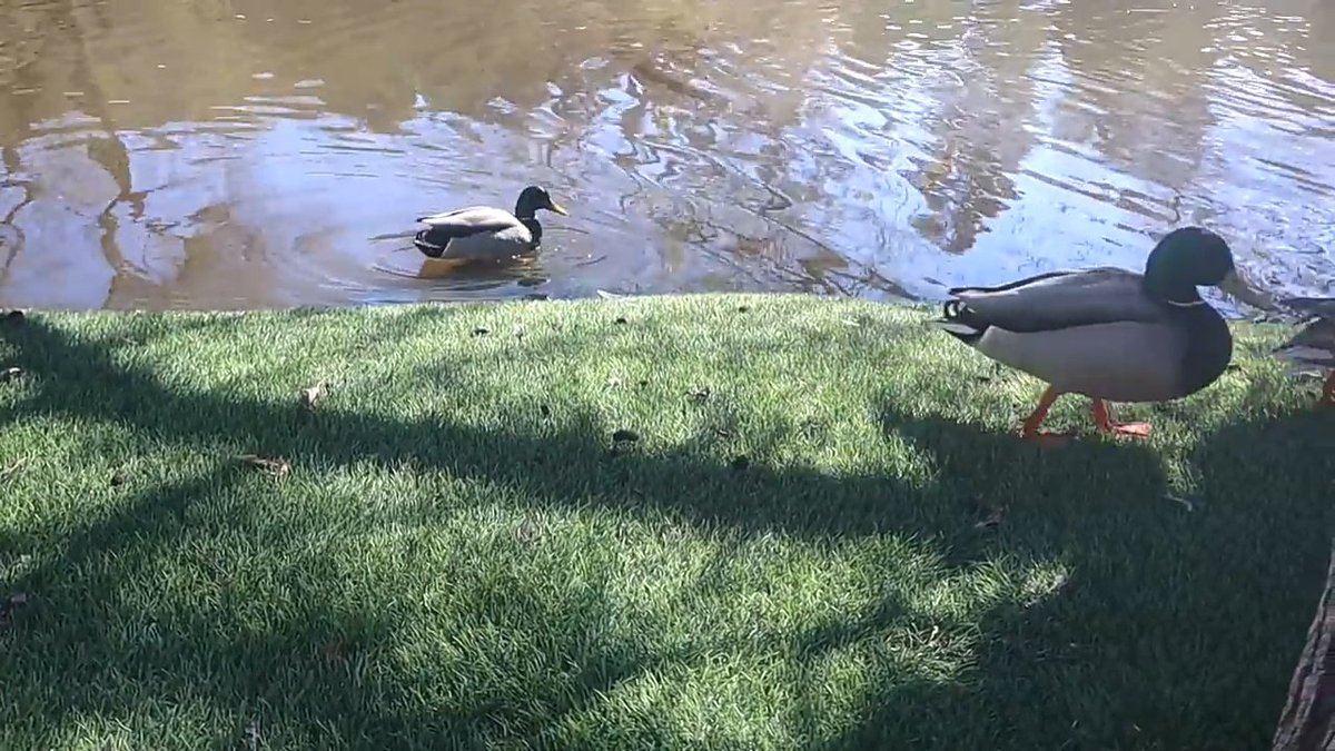 LouiseVVMxx's tweet image. Im not crying you are.

Also why is this a type of date everyone wants.