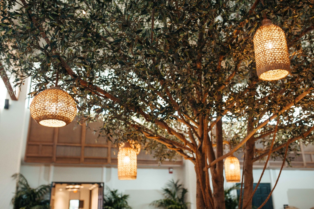 thescottresort's tweet image. Golden Hour Glow ⁠
📸@jenkhawkins ⁠
⁠
⁠
#hoteldesign #hoteldesigner #curatedesign #designlove #interiordesigninspiration #architecturelove