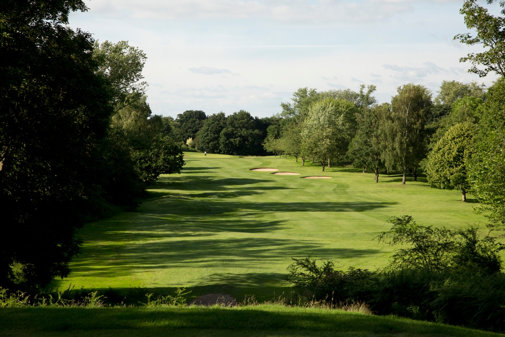 ⛳ Travel Lifestyle Golf ⛳ Sarah & Steve Forrest tweet media