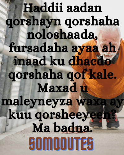 SomMotivation's tweet photo. noqo dooqa kowaad ee naftaada halkaad ka noqon lahayd dooqa labaad ee qof kale.

#somali
#Motivation 
#qoutes
#Wisdom 
#Motivationalquote 
#somqoutes https://t.co/LnJ4Xm5qzI