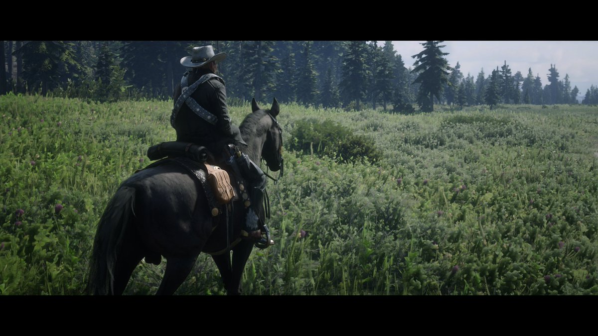 Ervaels1's tweet photo. team Ervaels sur RDR2 un peux^^
n'hésite pas a nous contacter
@RockstarGames 
#RDR2Online #RDR2 #RedDeadOnline #RedDeadRedemption2 #RedDeadRedemption https://t.co/Ebji5tyNhe