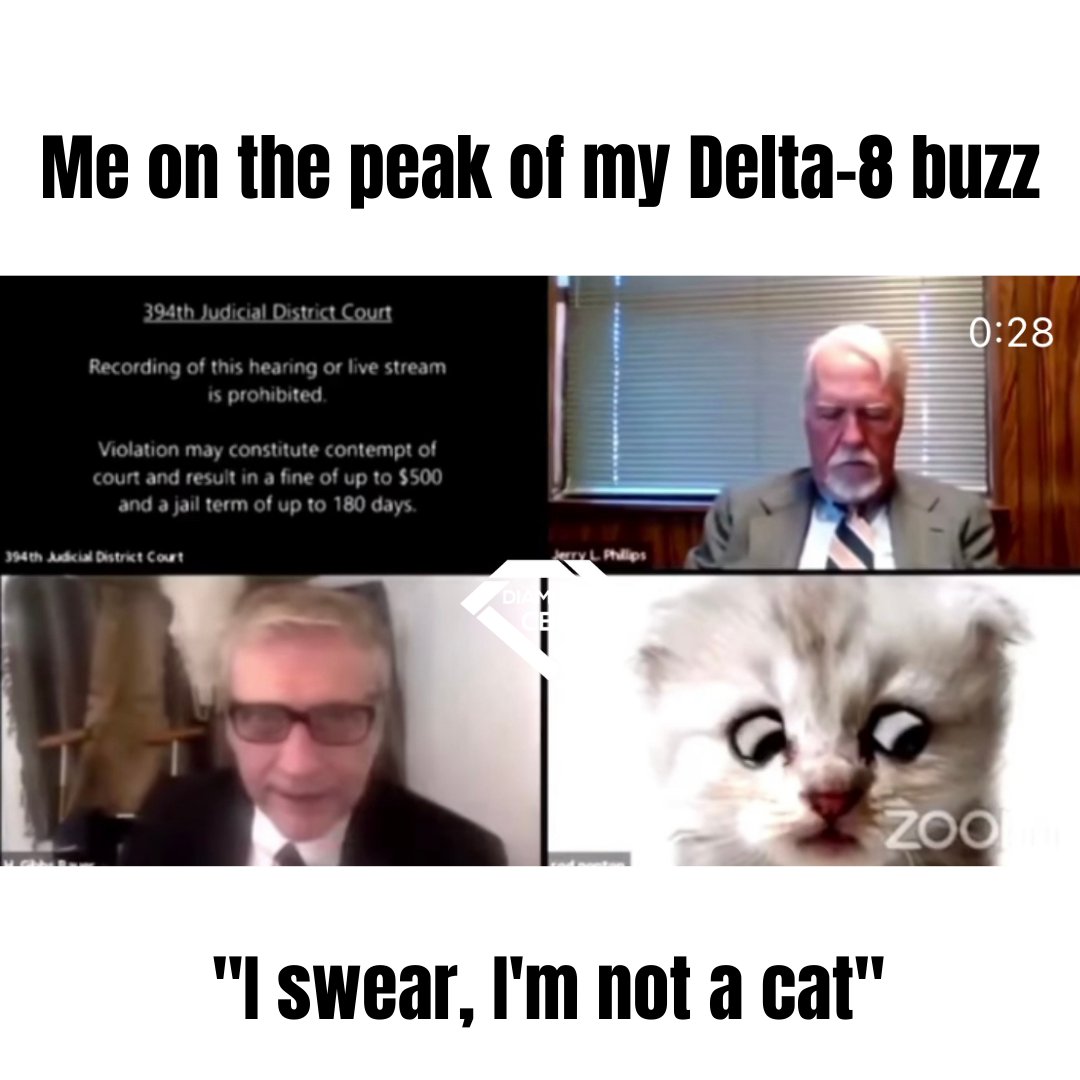 No kitties over here judge 😅. 

Have you tried our Delta-8 products yet? Share your favorites 👇