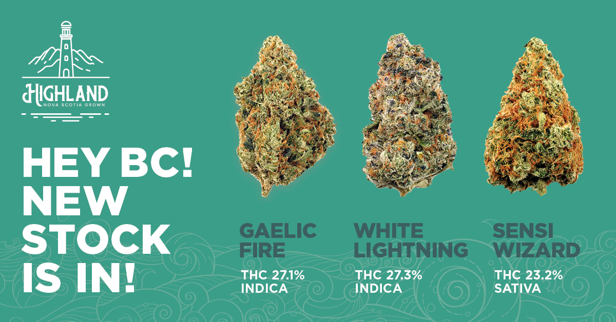 HighlandGrow's tweet photo. Hey BC! Highland Grow’s latest shipment of small batch, high THC cannabis has arrived and is now available at retailers near you! We’re excited to welcome back Gaelic Fire - THC 27.1%! Joining this BC fan favourite is White Lightning - THC 27.3% and Sensi Wizard - THC 23.3% https://t.co/qBZViHDo4S