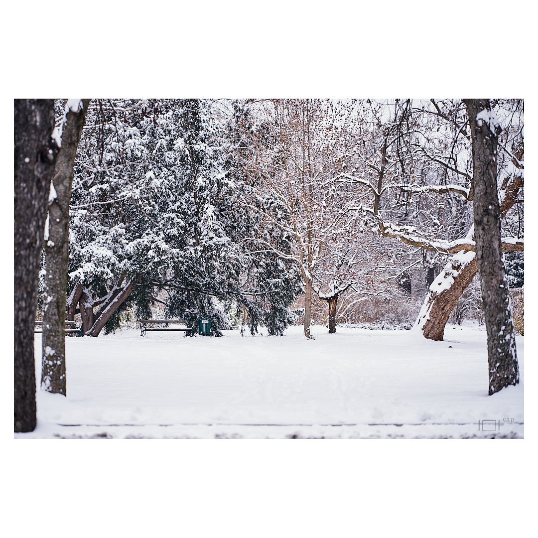 christianthiess's tweet photo. #snow in the #city - #snowy #bench . . . #visitstyria #Graz #365austria #feelaustria #wirliebengraz #photodocumentation #reportage #contemporaryart #artist #myart #artphoto #modernart #sonyalpha #zeissbatis #snowfall #instasnow #chilly #frosty #cityscape #city_e_scape https://t.co/nARInHVOn8