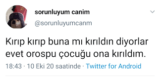 4geik memes (@cokiyikufur) on Twitter photo 