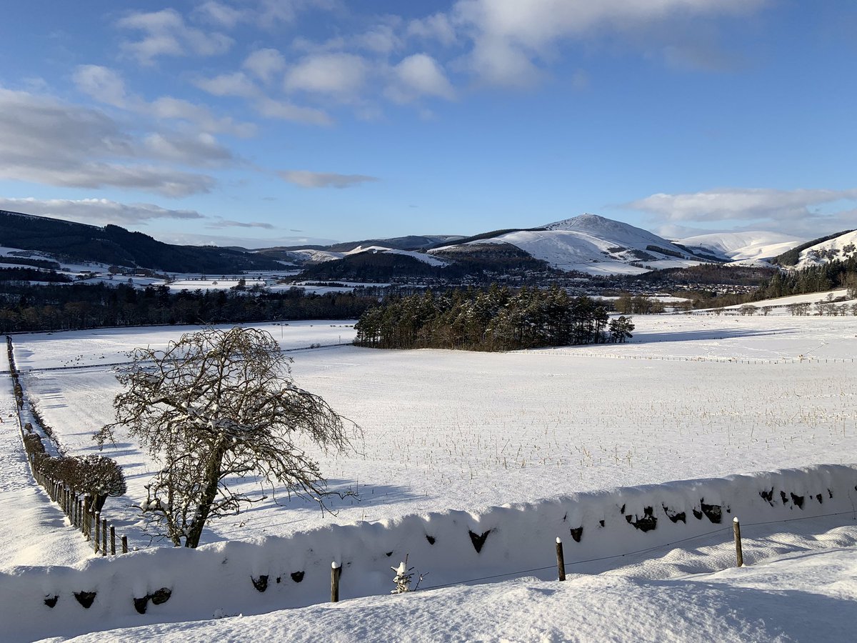 Denis Robson tweet media