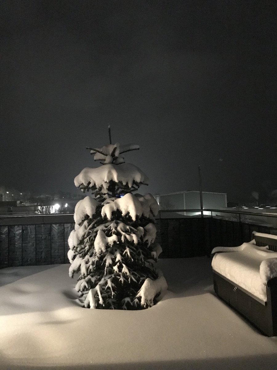 Al.Coroi (@alcoroi) on Twitter photo 