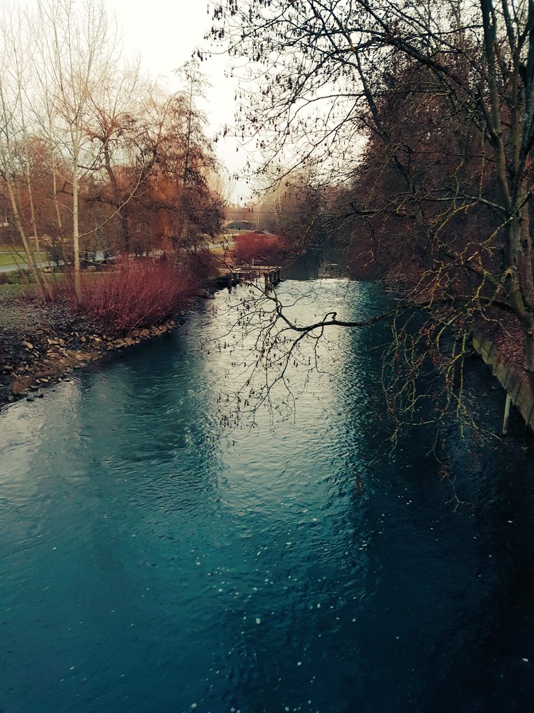 malvi_27S's tweet photo. Evening walk end of January 2021 https://t.co/DCfCYfYOIe