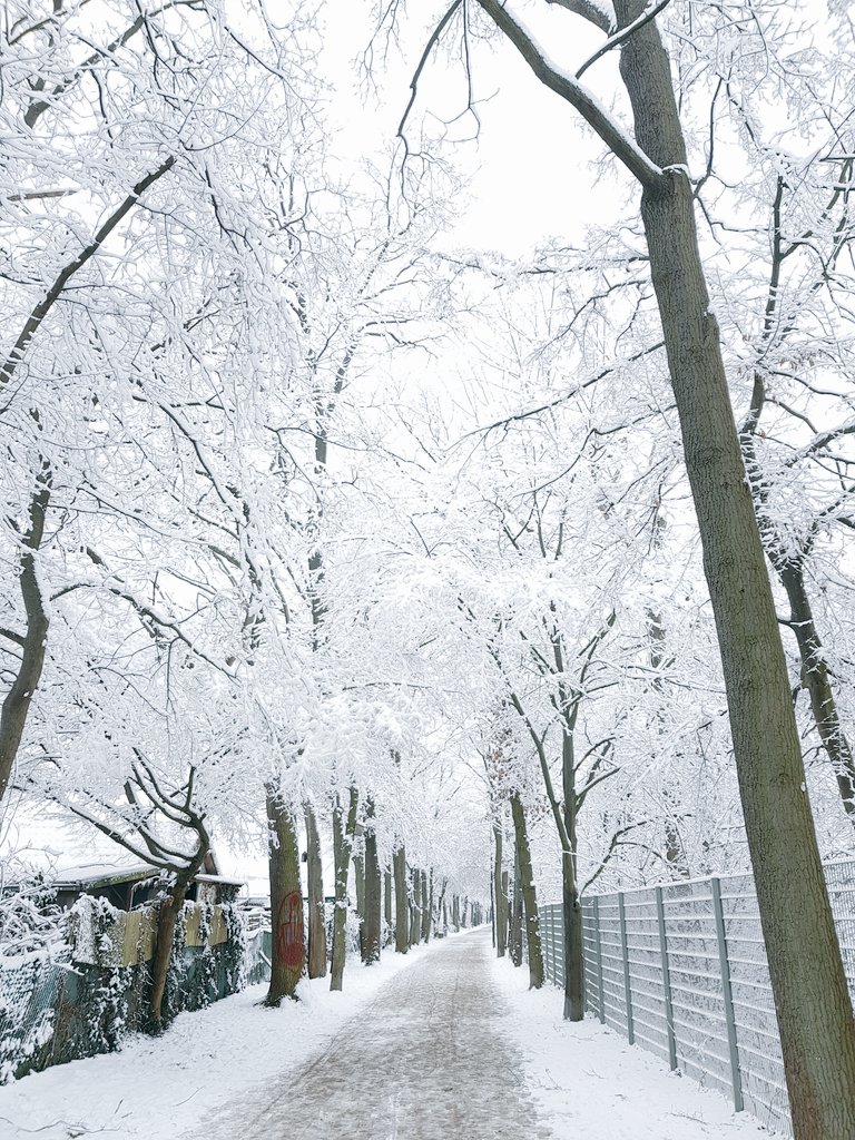 malvi_27S's tweet photo. Evening walk February 2021 https://t.co/IEzCyfwKxT