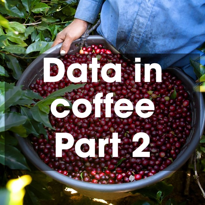 SAFE Platform tweet media