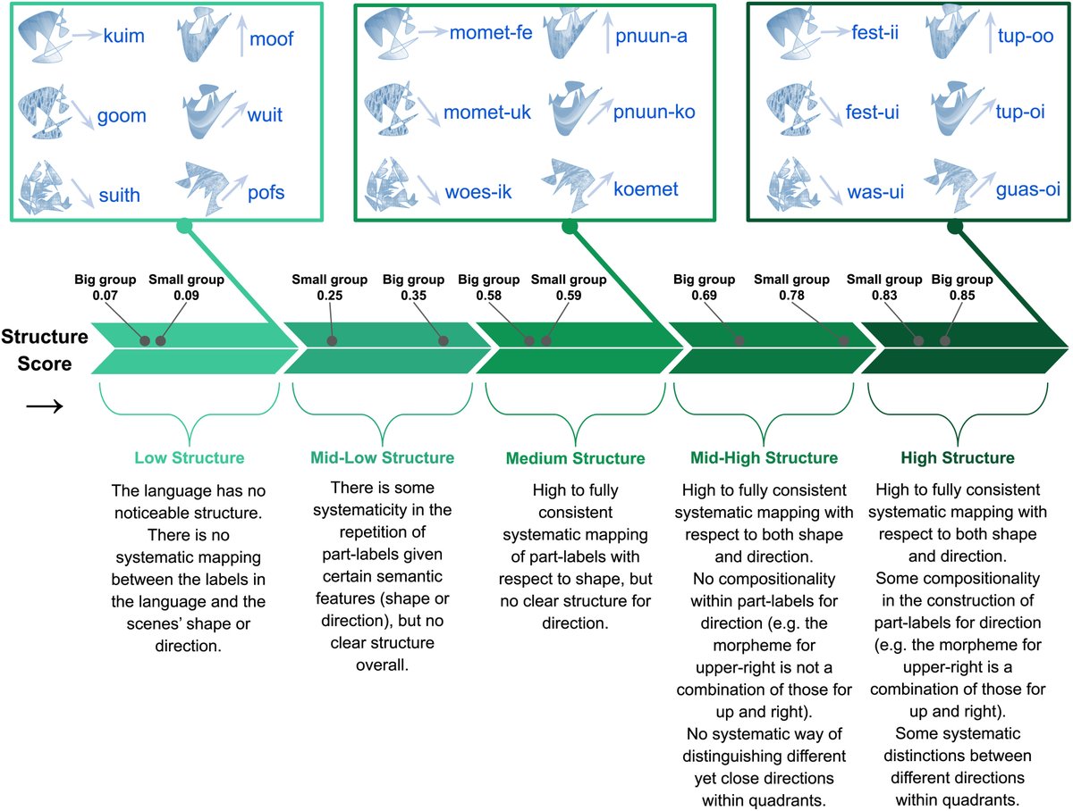 These languages varied in their group size origin (i.e., whether they come from big or small groups) and in their degree of systematic structure (ranging from languages with little to now structure, to languages with very high systematic structure), but were otherwise comparable.
