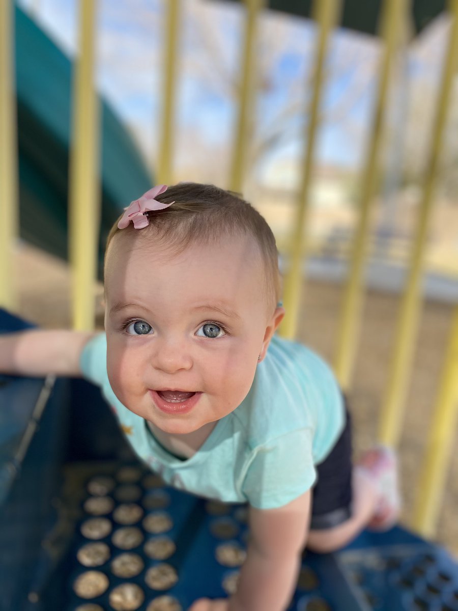 virginiamcd1014's tweet photo. Have you ever seen anything more perfect? 👑💕 https://t.co/LQSBXHifrU