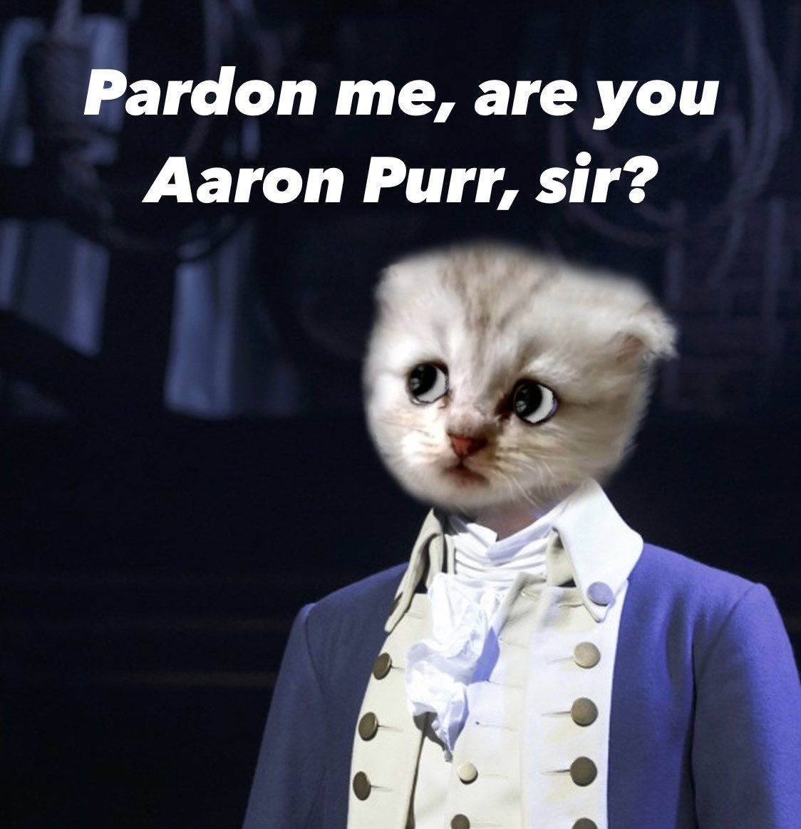 “Pardon me, are you Aaron Purr, sir?”  @HamiltonMusical  @leslieodomjr  @Lin_Manuel