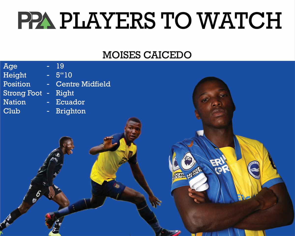 Personal_PA's tweet photo. One of the January signings we’re most excited to see in action is Moises Caicedo of Brighton 🔵⚪️ swipe left to read more about him #bhafc #caicedo https://t.co/dqWjjZr2eU