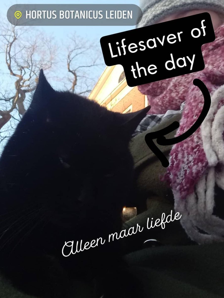 #lievehugo milou schreef 82% zit tegen een burnout aan en ik ben daar geloof ik een van. Iedere dag is weer een gevecht om mijn dagritme gevonden te krijgen om wel dingen gedaan te krijgen en me geen mislukking te voelen.