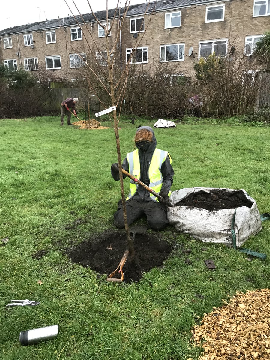 treeruss's tweet photo. It was a privilege. Great project, great partnership working. #hope #sakuraproject
#SustainableTreePlanting #HackneyTrees https://t.co/xe9ipQQiQu