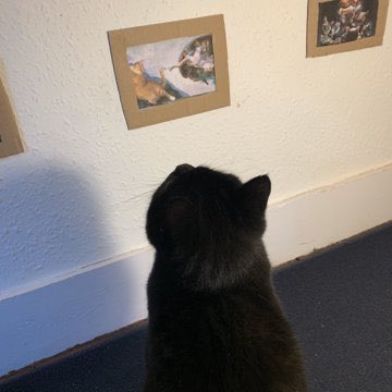 gatitos_qctd's tweet photo. Tiene su propia galería de arte 🥺 https://t.co/9m78isyCRk