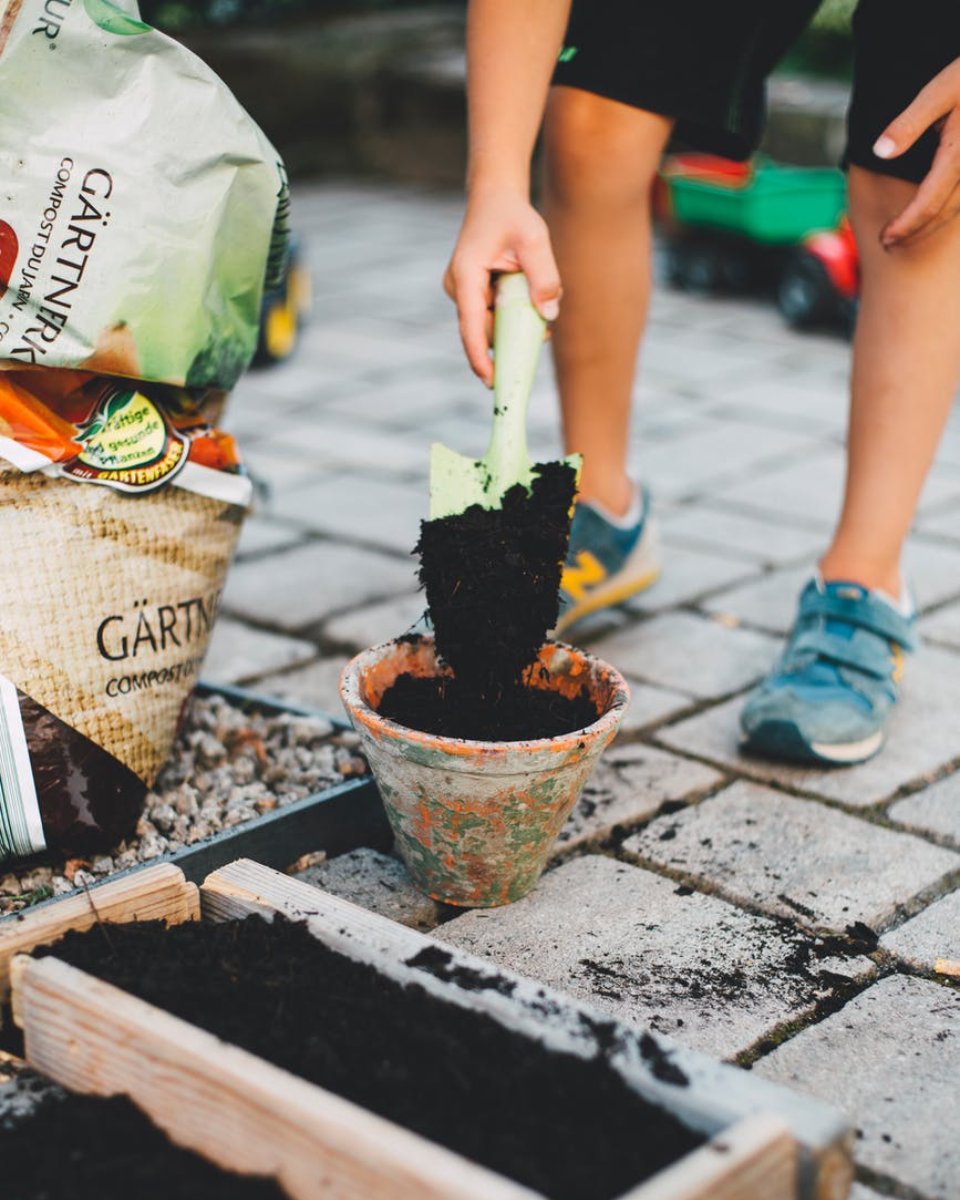 JuliSellsDFW's tweet photo. Sure, you could buy flowers like everyone else this Valentine's Day, but a whole garden would be more impressive! Give me a call when you need help finding a home with a yard to create your perfect garden in: (214) 284-0632. #JuliSellsDFW #FindYourDreamHome #SellYourHome https://t.co/rOvaOWkC9N
