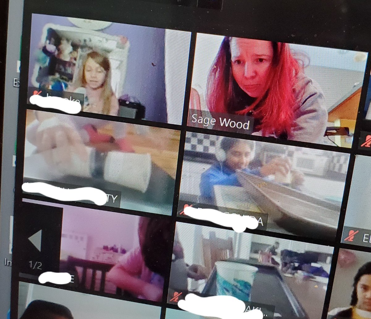 Sometimes remote learning means teaching from your kitchen floor!! We made our Count Day Zooms, COUNT! We did an experiment with patterns of motion during one of our 30 minute zooms. Lots of talking, laughing, and learning! #c2cinwb #onlywb