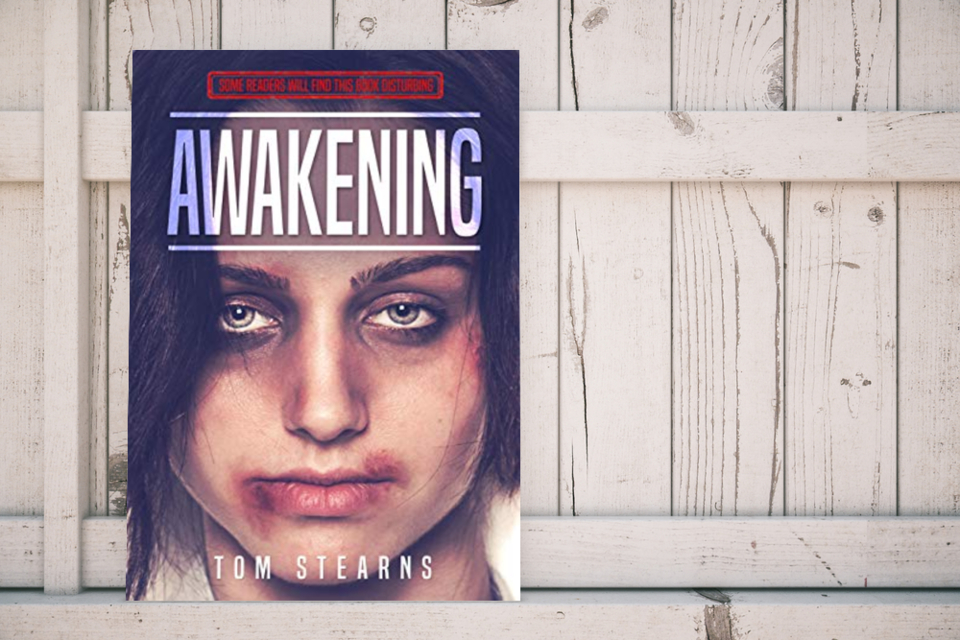 StearnsTom's tweet photo. Read a free sample of my book on AllAuthor. #mybook #readasample #freechapters #mustread #ebooks #allauthor Read a Sample -> https://t.co/CrInXFzqeD https://t.co/YUsFYweSI6