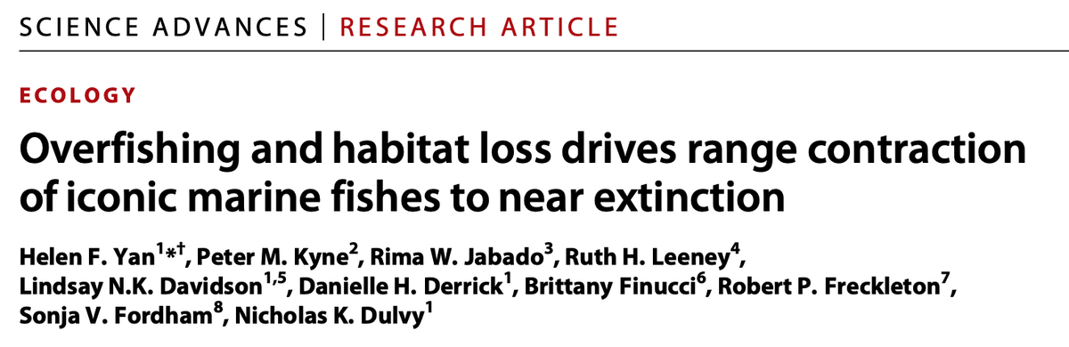 My first first-authored paper is OUT TODAY in  @ScienceAdvances titled ‘Overfishing and habitat loss drives range contraction of iconic marine fishes to near extinction’  https://bit.ly/GreatSawfishSearch 1/n